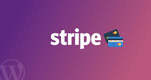 Buy Verified Stripe Accounts